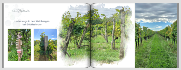 Screenshot (451).png