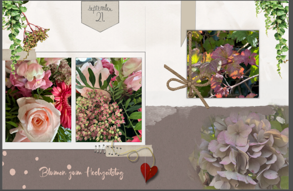 Bildschirmfoto 2025-09-24 um 18.19.47.png