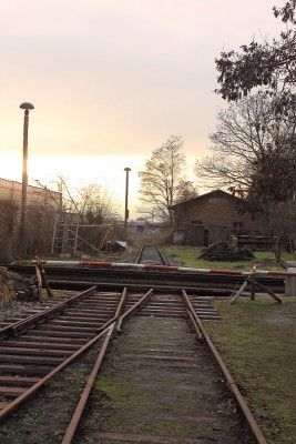 IMG_2124 (Andere).jpg