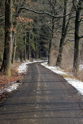 Waldweg.jpg