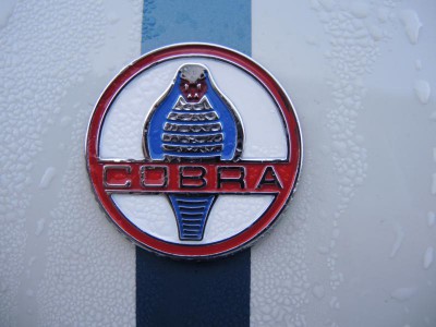 2013-09-07_Cobra Inzell.JPG