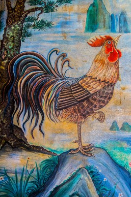 Canon EOS 650 F 11 BZ50 ISO 1600 BW 35.jpg