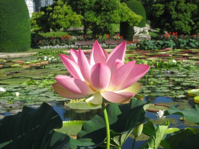 Canon Power F 3.5 BZ 640 ISO 80 BW11.JPG