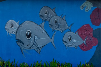 Canon EOS 650 F11 BZ100 ISO 320 BW59.jpg