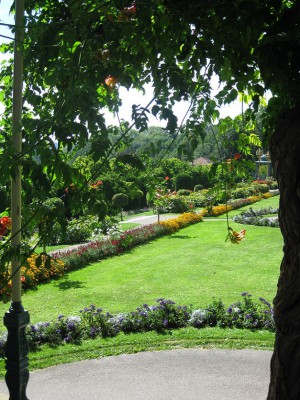 Canon Power F2.8 BZ640 ISO 80 BW8.JPG