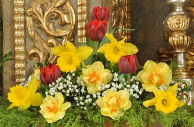 Nikon 1 f5.6 BZ 60 ISO 2500 BE110.JPG