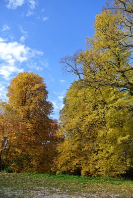 Nikon1 F4.5 BZ 400 ISO 100 BW10.JPG