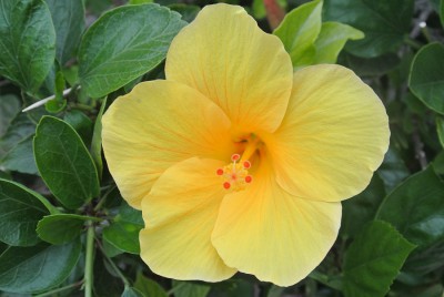 Nikon 1 F4.8 BZ60 ISO 560 BW19.JPG