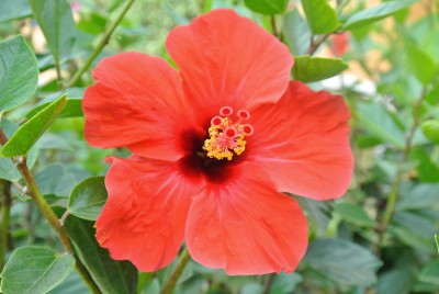 Nikon1 F4.5 BZ40 ISO 800 BW17.JPG