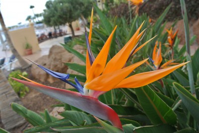 Nikon1 F3.8 BZ100 ISO 400 BW12.JPG