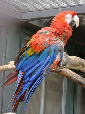 Nikon1 F3.8 BZ125 ISO 360 BW31.JPG