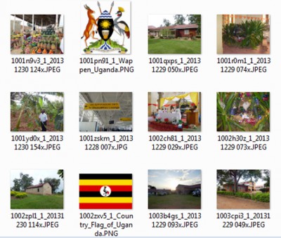 Wirrwar im mcf-Ordner.jpg