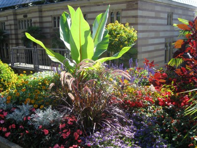 Canon Power F2.8 BZ320 ISO 80 BW8.JPG