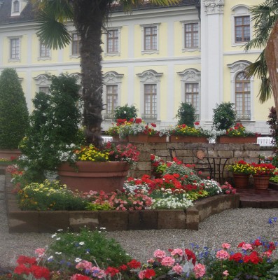 Canon Power F3.2 BZ 500 ISO 80 BW9.JPG