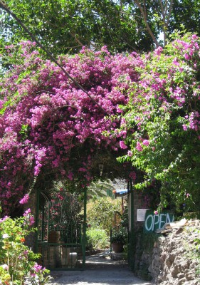 Canon Power F3.2 BZ250 ISO 80 BW9.JPG