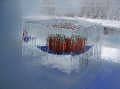 IMG_0329_ShiftN (Andere).jpg