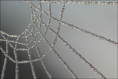 Eiskristall-Spinnennetz2.jpg