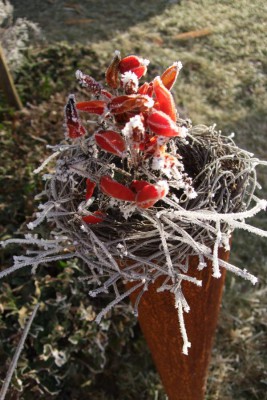 2009_0117_Garten.JPG