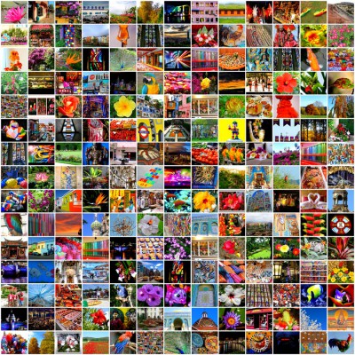 Challenge 01-14  Farbenpracht.jpg