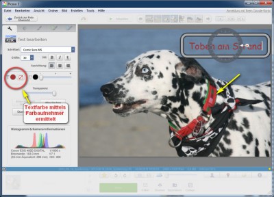 Textfarbe beurteilen.jpg
