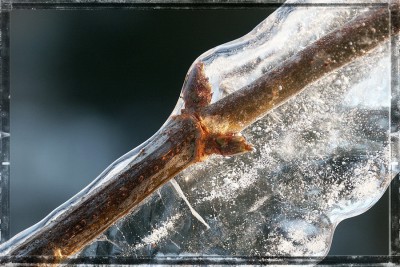 Holler im Eis2 copy.jpg