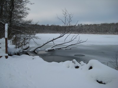 See - fast zugefroren.jpg