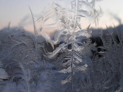 Eisblumen.JPG