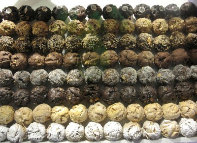 Nikon1 F 3.5 BZ 30 ISO 800 BW 10.JPG