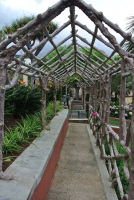 Nikon 1 F4.5 BZ 400 ISO 100 BW 12.JPG