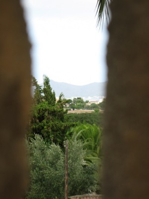 Canon Power Shot E1 F 5.6 BZ 125 ISO 80 BW 25.JPG