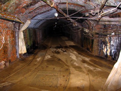 IMG_6541 (Andere).jpg