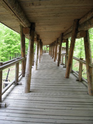 mini-IMG_0762_Haus der Wildnis Bayr Wald.jpg