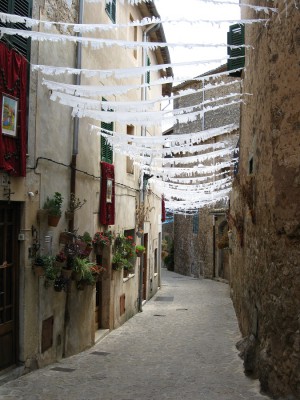 Canon power Shot E1 F 2.8 BZ 320 ISO 80 BW 8.JPG