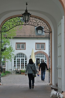 Nikon1 F5.6 BZ 200 ISO 160 BW30.JPG