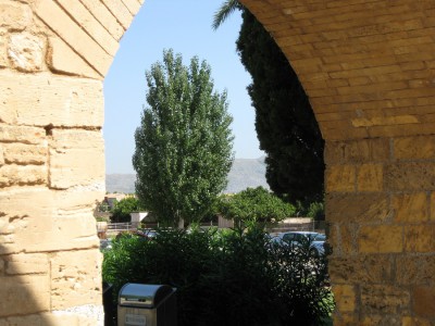 Canon Power Shot E1 F4, ISO 80 BZ 500 BW 14.JPG