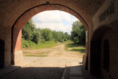 IMG_0548 (Andere).JPG