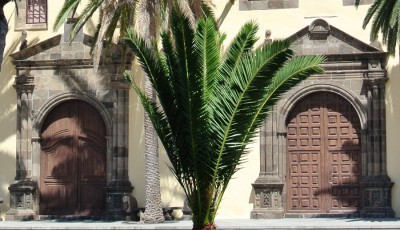 Nikon1 F5 ISO 100 BZ 500 BW21.JPG