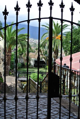 Nikon 1 BZ 320 BW 20 ISO 100 F5.JPG