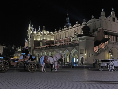 IMG_0929_Krakau_Tuchhalle.jpg