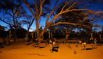 Omaruru Game Lodge.jpg