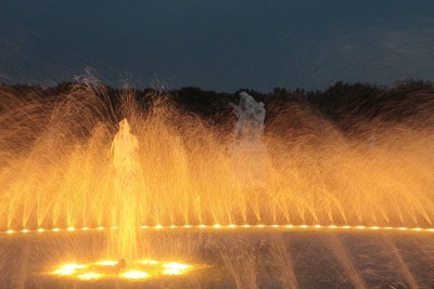 IMG_0655 (Andere).JPG