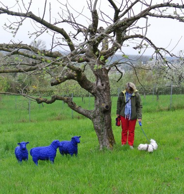 Nikon1 F4.2 BZ160 ISO100 BW16.JPG