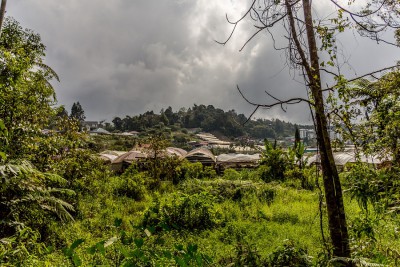 Asien2013 Cameron Highlands CanonEOS 650D F3.5 BZ4000 ISO100 BW18.jpg