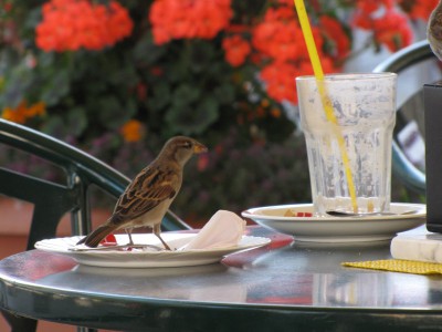 IMG_3454 (Andere).JPG