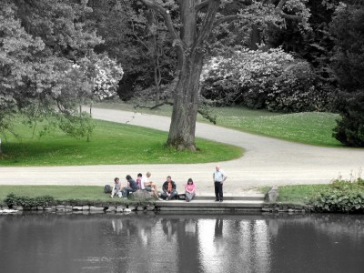 IMG_5580-1 (Andere).jpg