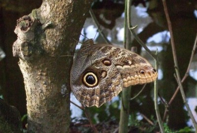 2008_Botanischer Garten MUC 1.JPG